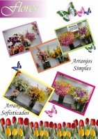 /album/galeria-de-fotos/catalogo%20sess%c3%a3o%20de%20flores%202-jpg/